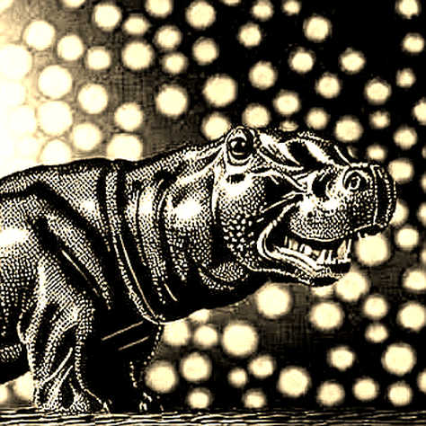 The Empty Analysis: When Crypto Reports Say Everything and Nothing